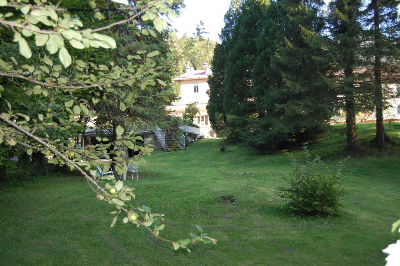 Joly Saint Sauveur Bed and Breakfast Villard-Saint-Sauveur Buitenkant foto