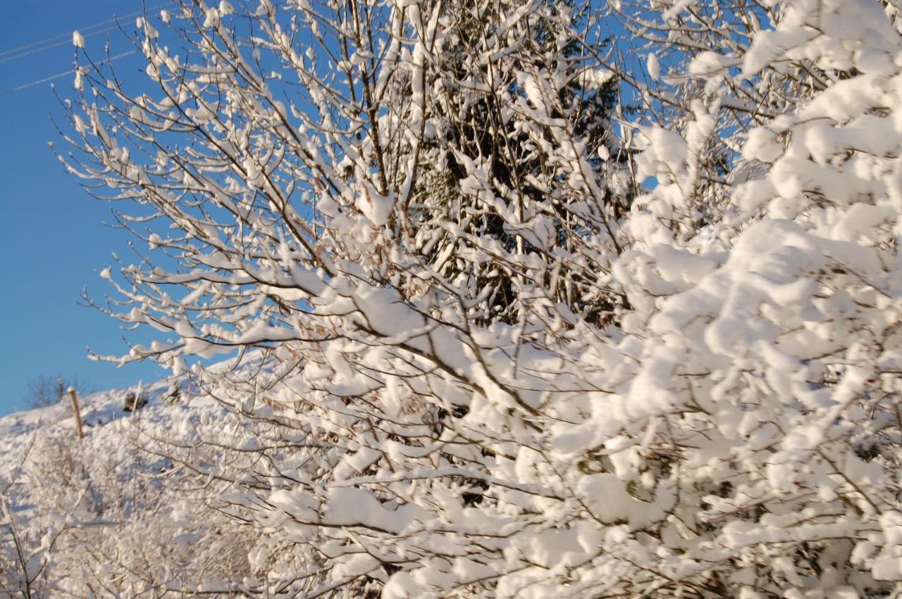 Joly Saint Sauveur Bed and Breakfast Villard-Saint-Sauveur Buitenkant foto